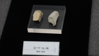 这部数万年前的“无字天书”，留下了哪些远古奥秘？_京报网