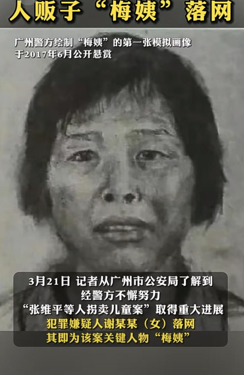 锐评丨“梅姨”落网！人贩子隐藏再深也逃不过法网恢恢_京报网