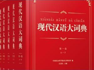 现代汉语分类词典（汉语大词典出版社） 现代汉语分类词典- 京东