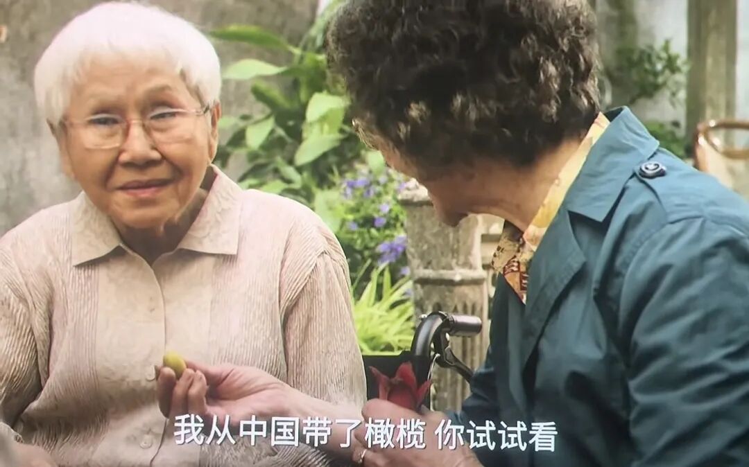她才是《给阿嬷的情书》的王炸演员!不靠台词演老年谢南枝一样看哭万千观众_京报网