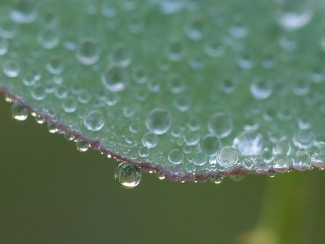 北京11日夜间至15日将出现大暴雨