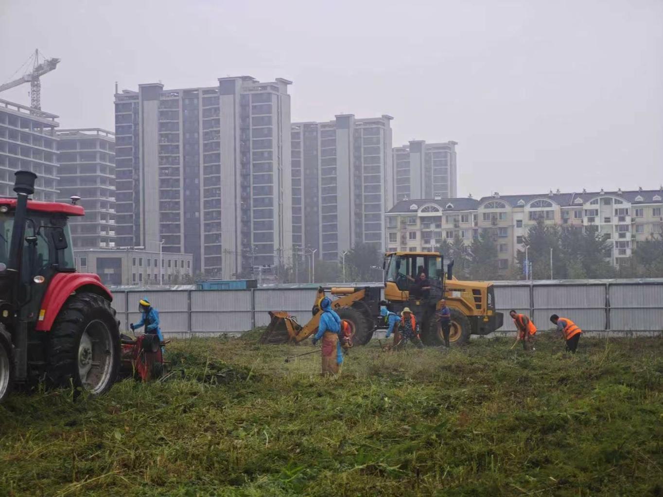 报道第二天，这两处地铁站外荒地的蒿草获清理_京报网